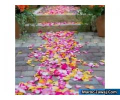 Cherche fille pour mariage halal